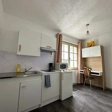 Petit Rénové En Centre - Apt8 Appartamento *